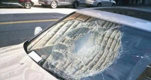 Un aigle lâche un chat en plein vol sur une voiture et pulvérise son pare-brise !