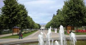 Ils tendent un piège à un fétichiste des pieds dans un bois avant de lui voler son véhicule