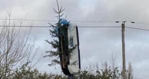 Des radars transformés en sapins de Noël, ce nouveau mouvement va ravir les automobilistes