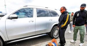 Formule 1 : la discipline n'oublie pas Roscoe, un geste touchant fait concernant Lewis Hamilton