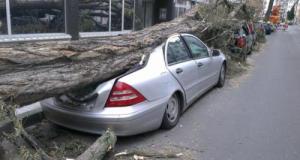 Deux septuagénaires chutent de 20 mètres en voiture et s’en sortent presque indemnes