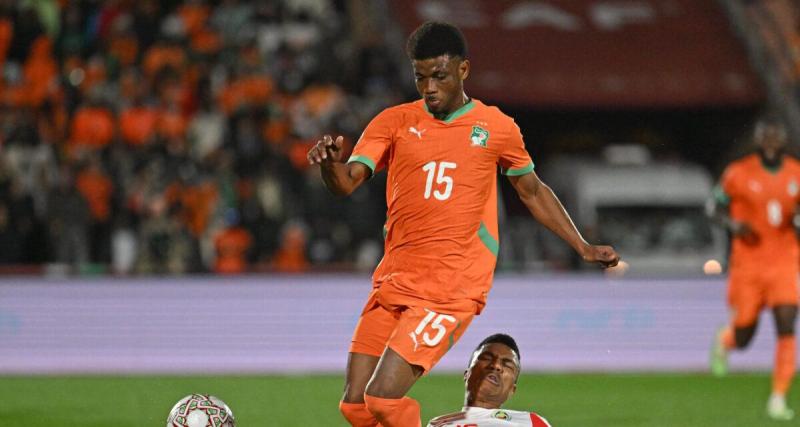  - Côte d'Ivoire - Cameroun : les compositions officielles