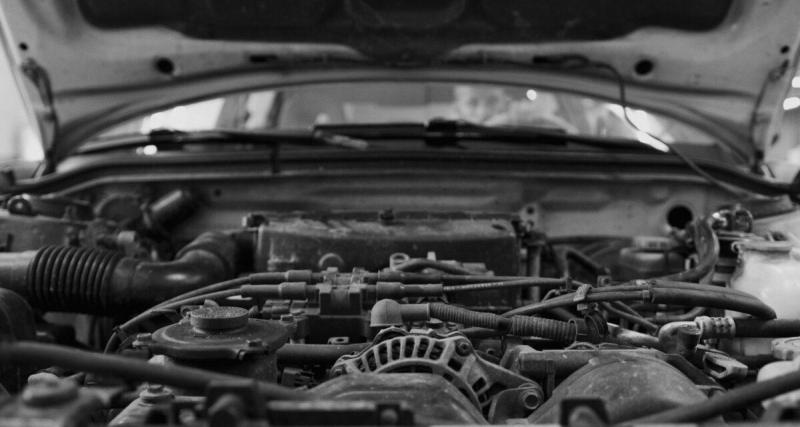  - Des rats attaquent sa voiture en pleine nuit : la facture explose à plus de 5 000 € et l’assurance refuse de payer