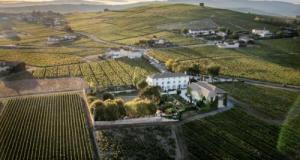 Contraint de remplacer sa BMW de fonction par un Berlingo, il attaque son employeur pour harcèlement et obtient plus de 110 000€