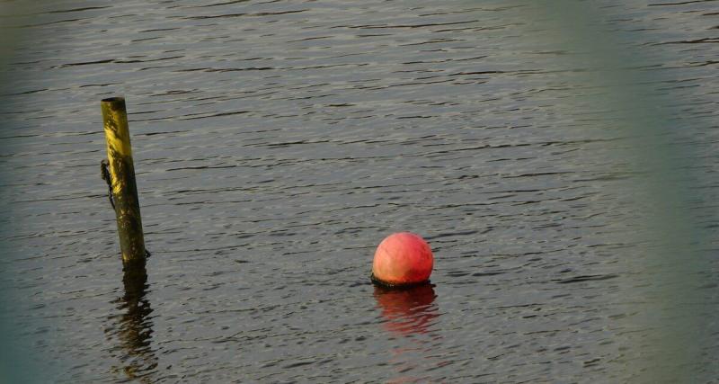 Un garagiste sauve une femme de la noyade, qui promet de lui confier sa voiture pour le remercier !