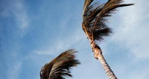 « Ma voiture dormira dans ma chambre » : en Algérie, des rafales jusqu’à 120 km/h poussent les automobilistes à redoubler d’ingéniosité