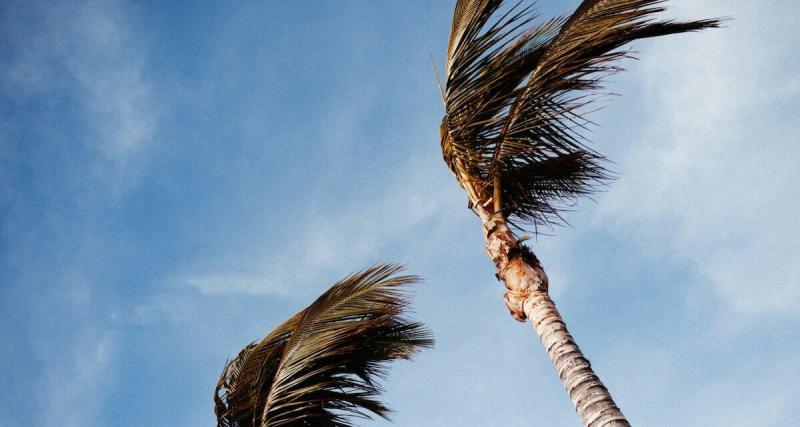  - « Ma voiture dormira dans ma chambre » : en Algérie, des rafales jusqu’à 120 km/h poussent les automobilistes à redoubler d’ingéniosité