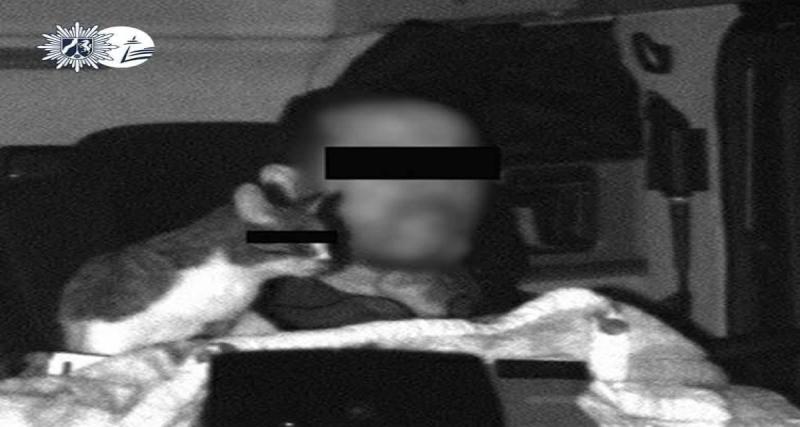  - Trop mignon… mais interdit : un chauffeur flashé avec son chat sur le tableau de bord déclenche une amende surprise