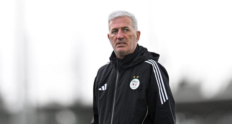  - Algérie : le geste touchant de Petkovic avec un Fennec