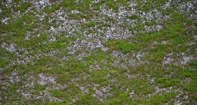  - Angers - Lille reporté ? La LFP a tranché