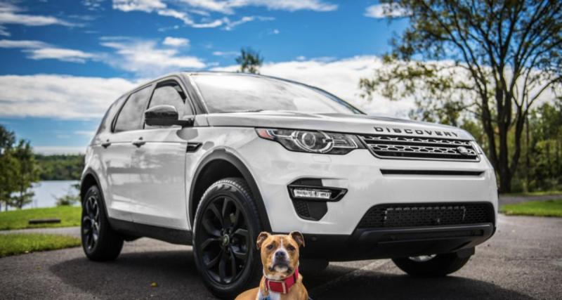  - À 12 ans, il rate le bus et prend le SUV familial pour aller au collège