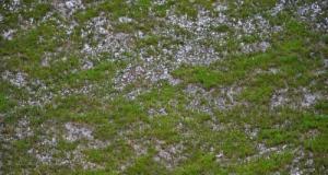 Foot Amateur : un club de Régional 2 contraint de s’entraîner sur des parkings de supermarchés à cause des intempéries