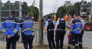 Pour éviter un contrôle routier, il quitte la route et file dans les vignes : le conducteur se retrouve nez-à-nez avec les gendarmes malgré lui