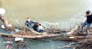 Il refuse d'obtempérer, prend la fuite à pied et saute dans une rivière glaciale : ce policier n’hésite pas à plonger pour le rattraper !