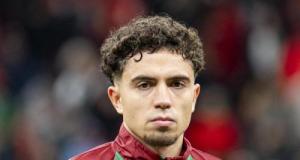 Ancien joueur de Nancy et Lens, Neil El Aynaoui victime d’un violent cambriolage en Italie