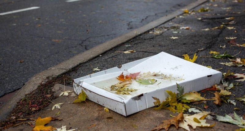 Le catastrophique bilan des déchets jetés au bord des routes