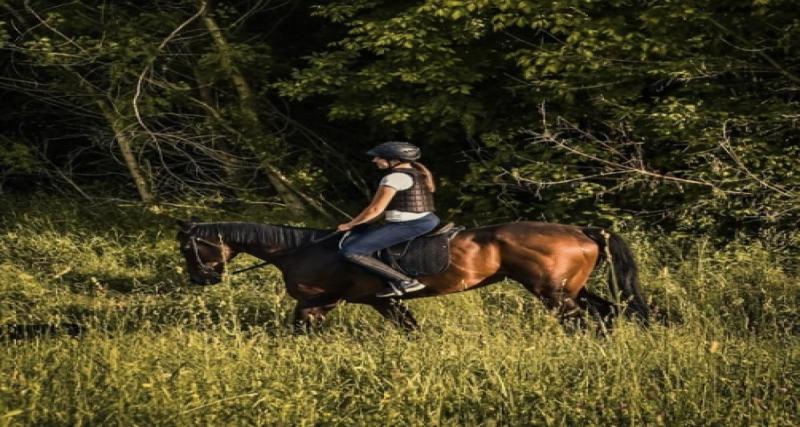 Face à la hausse du carburant, elle abandonne sa voiture pour se déplacer à cheval