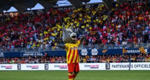 USAP - La Rochelle : les décisions arbitrales entendues en direct, une première à Aimé-Giral