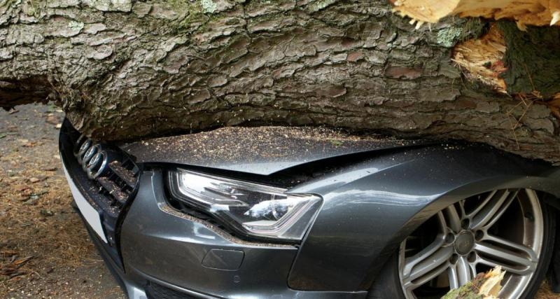 Coincée toute la nuit dans sa voiture accidentée, une conductrice secourue héroïquement au matin