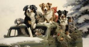 Neuf chiots retrouvés dans une voiture abandonnée, un sauvetage in extremis