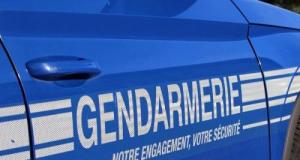 À 185 km/h sur une départementale, il donne une excuse qui laisse les gendarmes sans voix : "Il n'y avait personne sur la route"