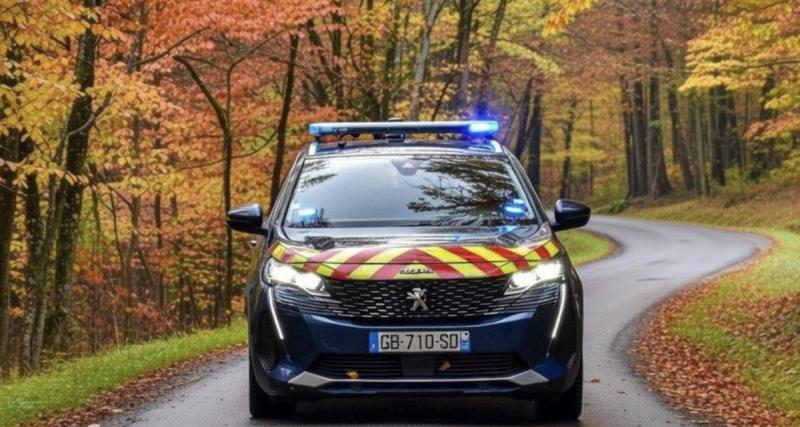 Il fuit les gendarmes sur plus de 100 km avec un hélicoptère au-dessus de la tête avant de terminer sa course dans un champ