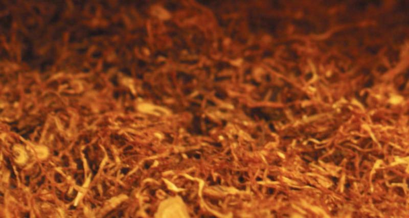 Il tente de dissimuler 242 paquets de tabac dans sa voiture : contrôle routier et lourde amende à la clé