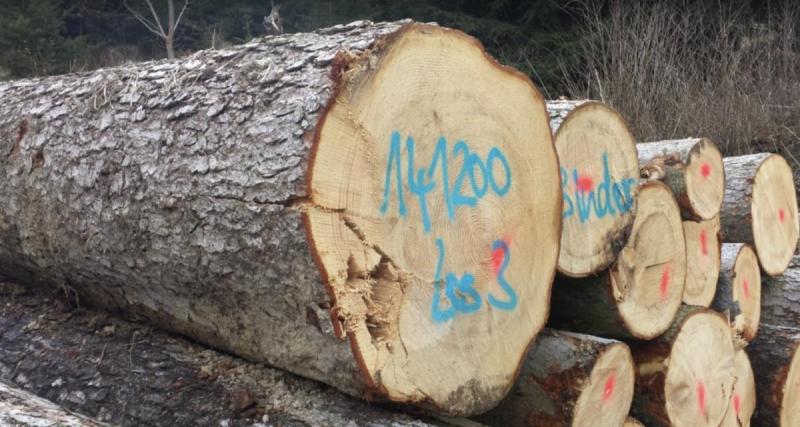  - Avec un tronc d’arbre comme voiture bélier, les voleurs volent pour 500 000€ de bijoux