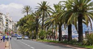 A Nice, un homme a été flashé à 136 km/h sur la Promenade des Anglais
