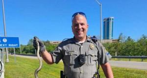 Pendant qu'elle conduit, une automobiliste réalise qu'un serpent se balade librement dans sa voiture