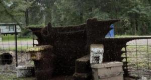 Un camion transportant 2 millions d’abeilles se renverse : un quartier placé en confinement
