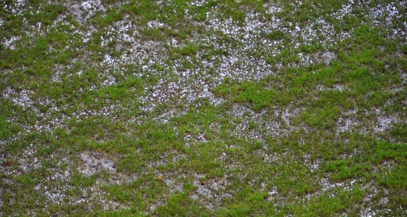  - National 2 : un club dans la crainte, sa pelouse infestée par un champignon