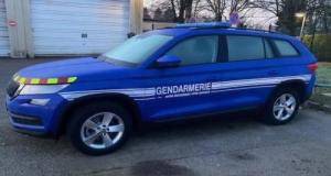 Ils transforment une forêt protégée en circuit de drift : la gendarmerie riposte avec des PV et véhicules immobilisés