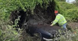 En taillant une haie, ils découvrent une voiture de sport rare liée à la famille royale britannique