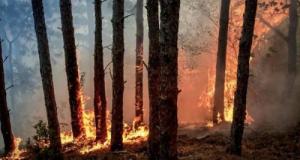 44 bouteilles de grands crus retrouvées dans sa voiture : il est arrêté devant une maison évacuée par les incendies