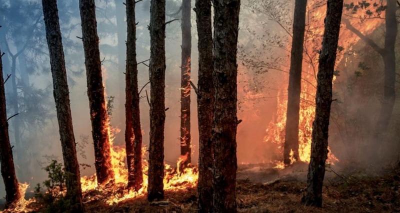 44 bouteilles de grands crus retrouvées dans sa voiture : il est arrêté devant une maison évacuée par les incendies