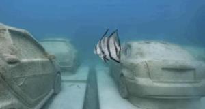 Ils jettent des camions et des wagons de métro à la mer… pour créer des récifs artificiels