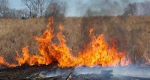 Risques d'incendies : ce département prend des mesures drastiques