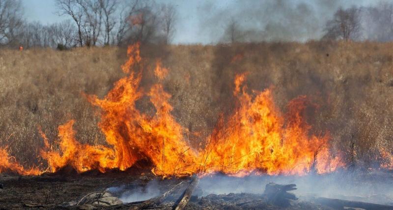 Risques d'incendies : ce département prend des mesures drastiques