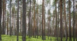Cette voiture parcourt ce département pour mieux connaître les arbres
