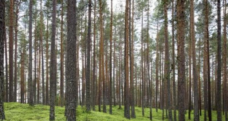  - Cette voiture parcourt ce département pour mieux connaître les arbres