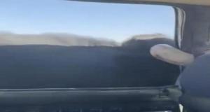Ils suivent un taureau en voiture : l’animal charge le véhicule et s’accroche à une vitre