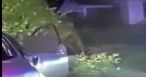 Après avoir échappé à la police, il vole une voiture de patrouille et percute une maison