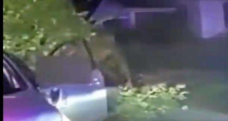 Après avoir échappé à la police, il vole une voiture de patrouille et percute une maison