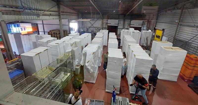  - ‎Ils transportaient 45 000 cartouches depuis l'Espagne : un impressionnant trafic de cigarettes démantelé