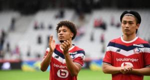 Lille - Le Havre : incompréhension totale en interne chez les Dogues après le match ?