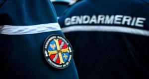 Engagés dans une course-poursuite en pleine forêt avec les gendarmes, leurs moto-cross ont décidé de s'arrêter ‎