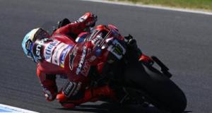 Grand Prix d'Australie : un invité surprise provoque un drapeau rouge à Phillip Island, les images font le tour du paddock