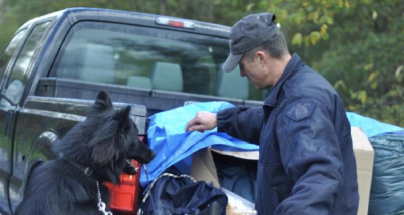 Un chien renifleur met la patte sur plus d’un million d’euros de cocaïne cachée dans une voiture