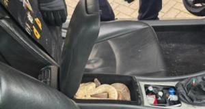 D'abord des souris, puis un poisson rouge, puis… deux pythons : le coffre de cet automobiliste ivre cachait bien des secrets